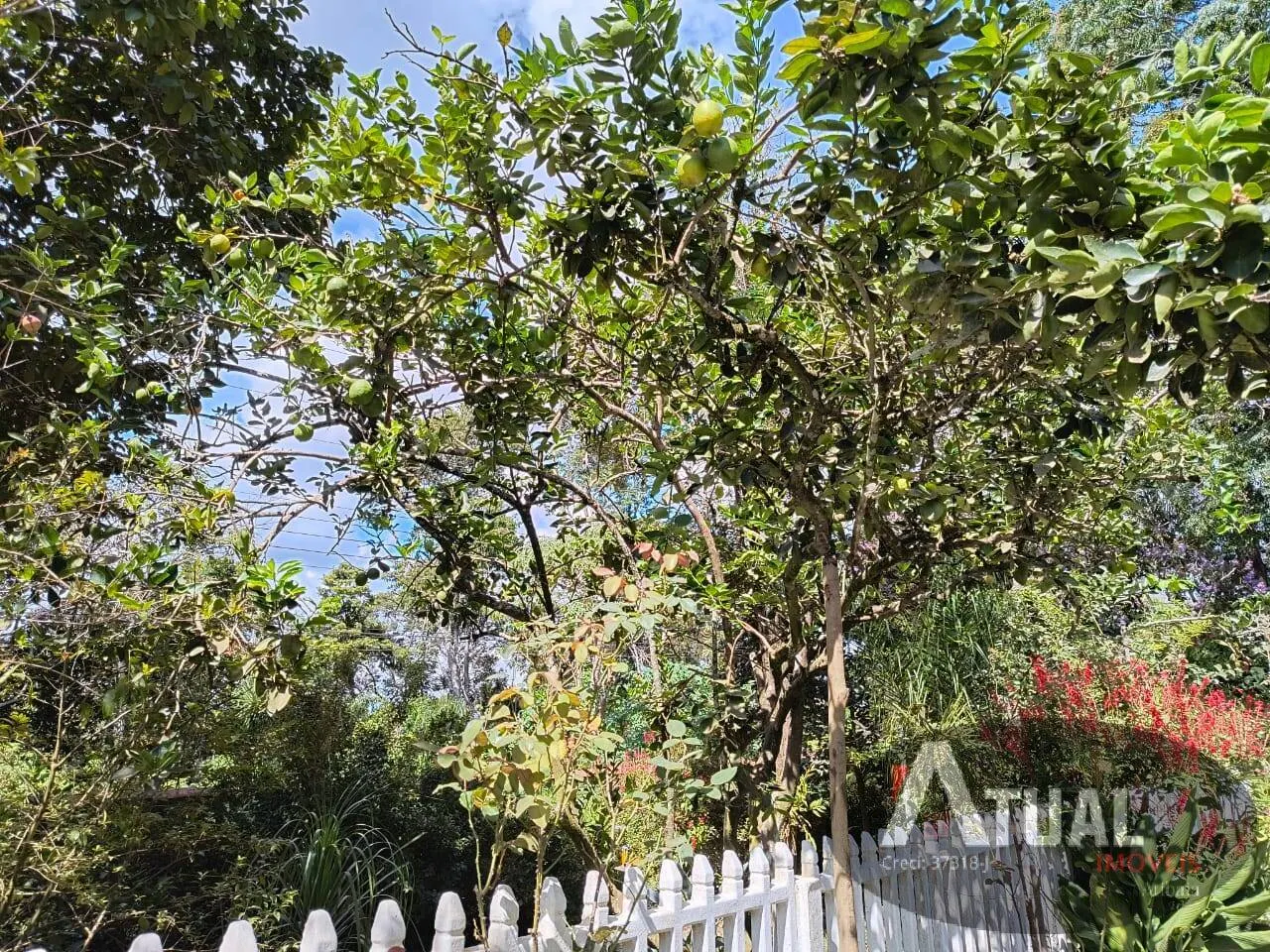 Chácara à venda de 1.500 m² em Mairiporã, SP, Brasil