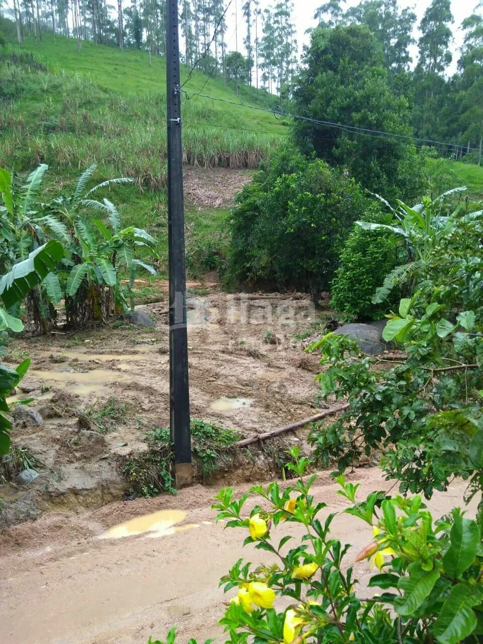 Terreno à venda de 2 ha em São João Batista, SC, Brasil
