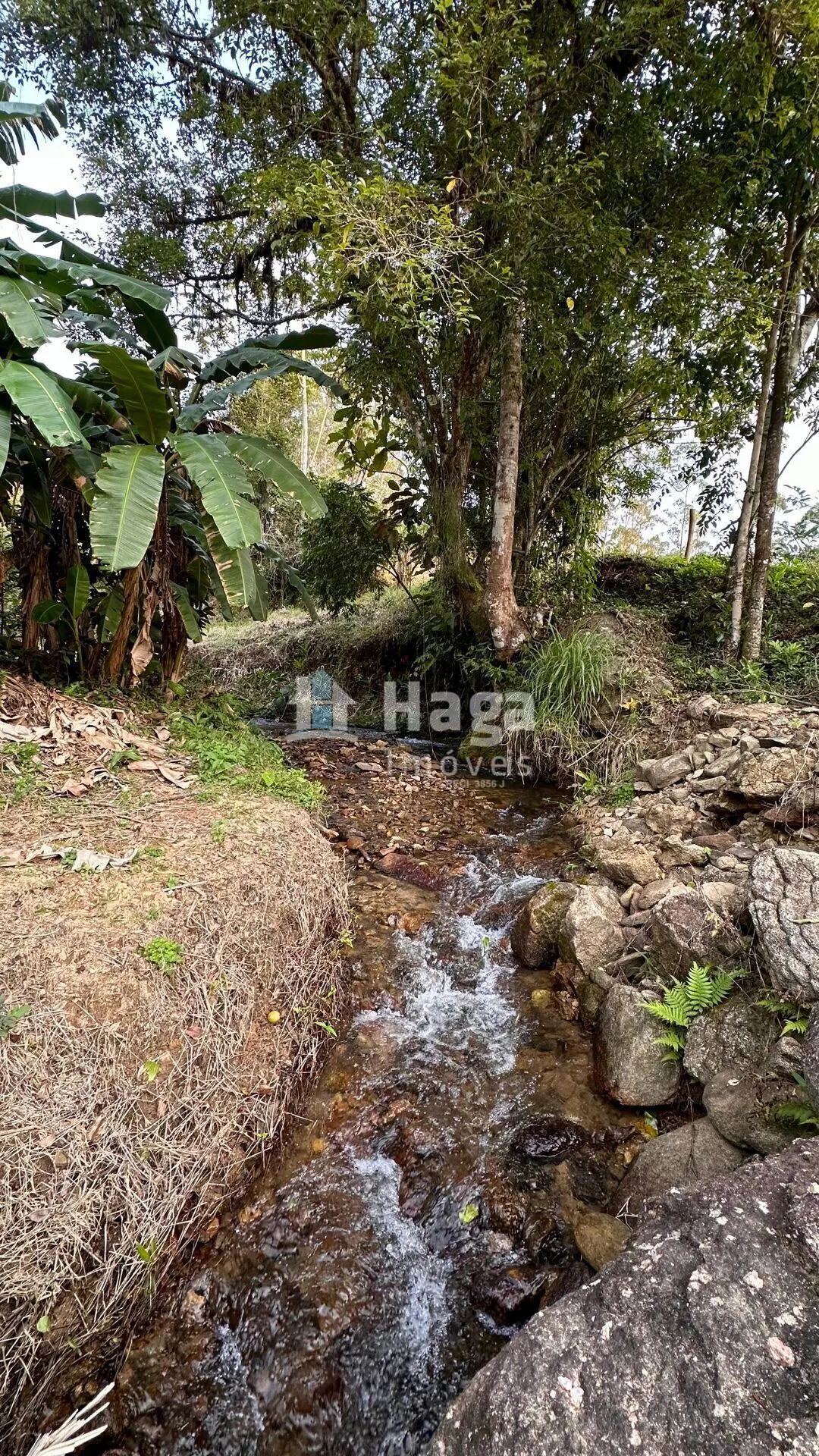 Terreno à venda de 2 ha em São João Batista, SC, Brasil