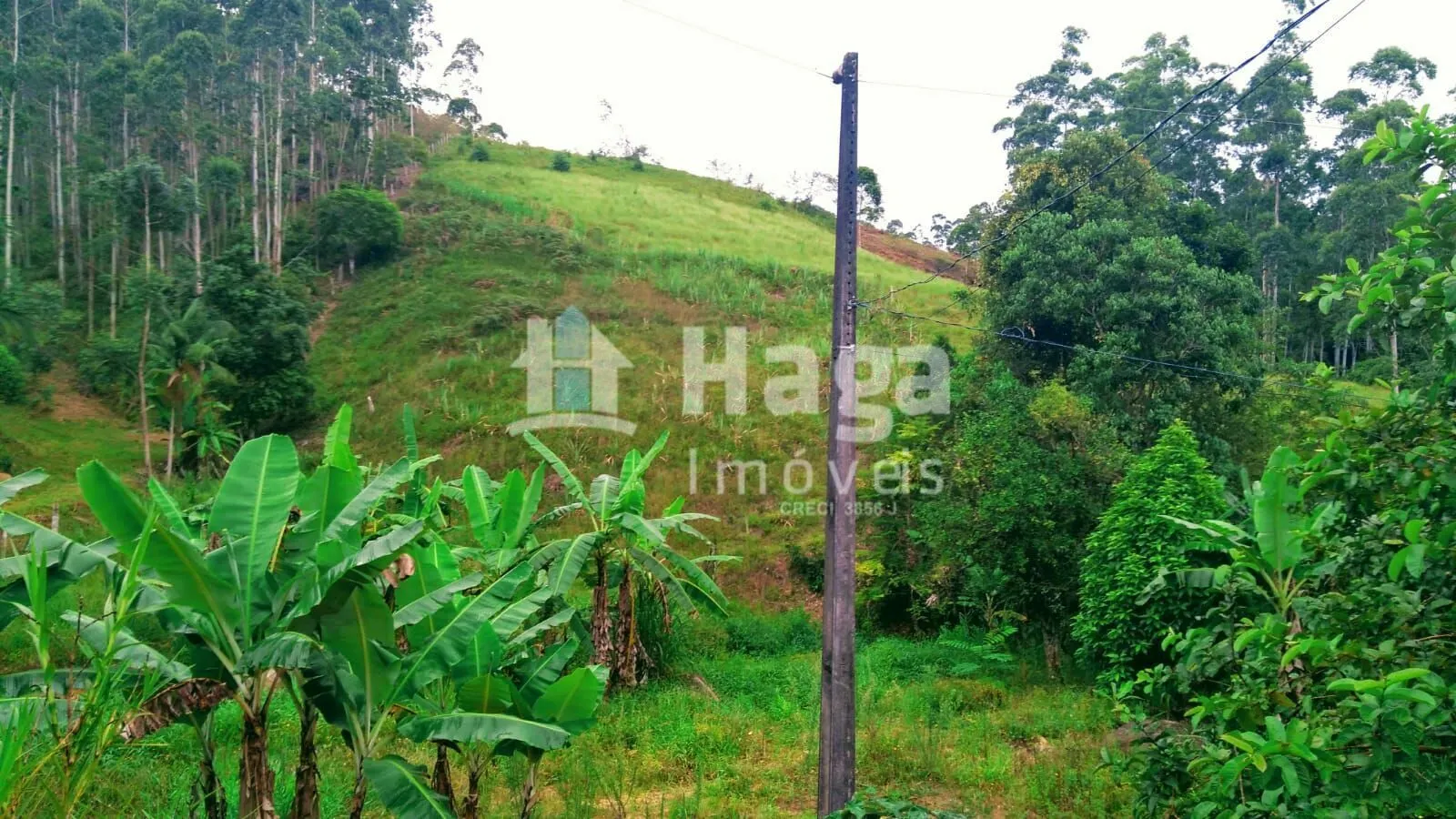 Terreno à venda de 2 ha em São João Batista, SC, Brasil