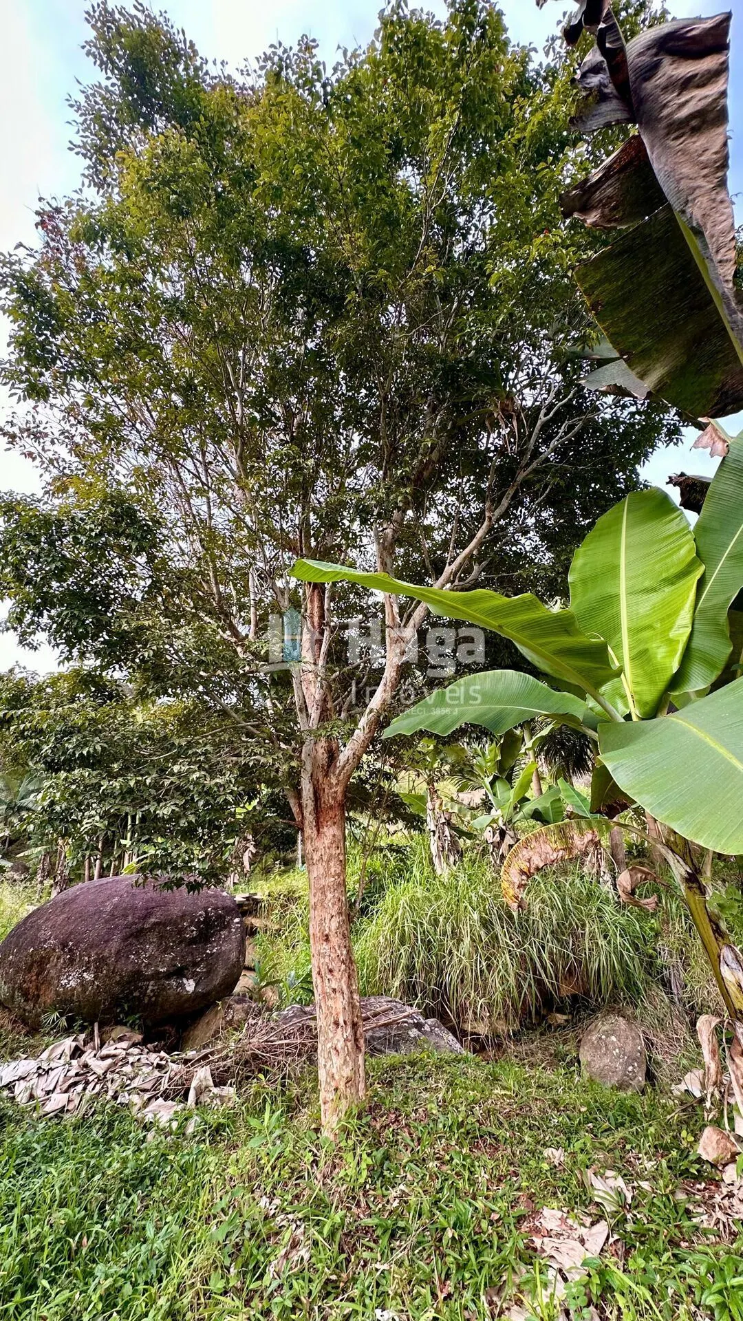 Terreno à venda de 2 ha em São João Batista, SC, Brasil