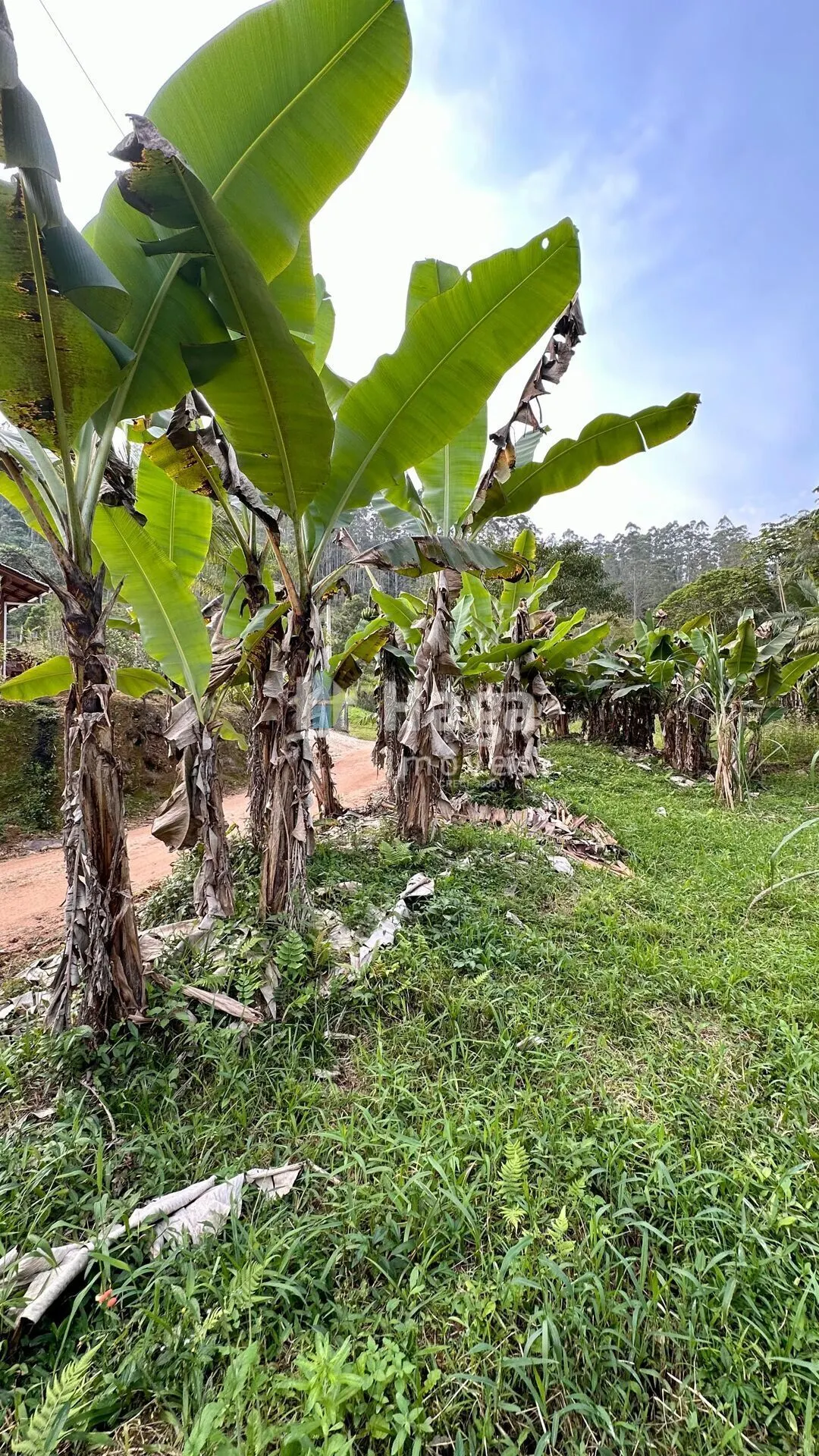 Terreno à venda de 2 ha em São João Batista, SC, Brasil