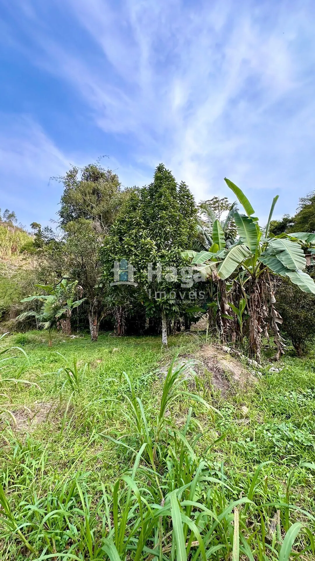 Terreno à venda de 2 ha em São João Batista, SC, Brasil