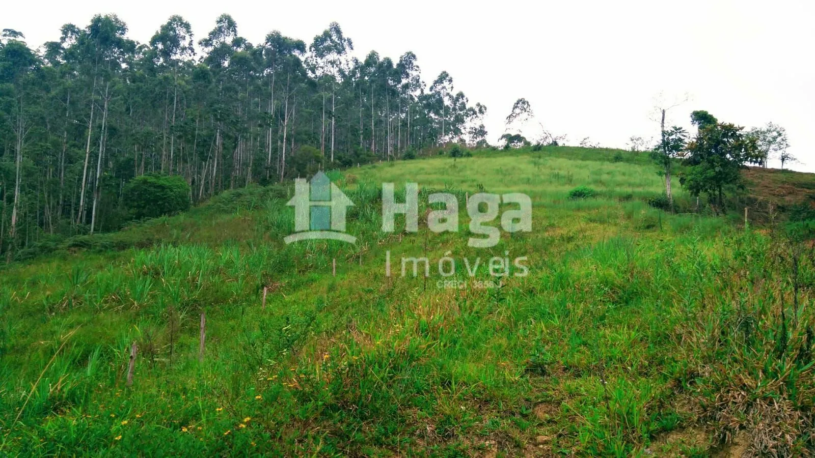 Terreno à venda de 2 ha em São João Batista, SC, Brasil