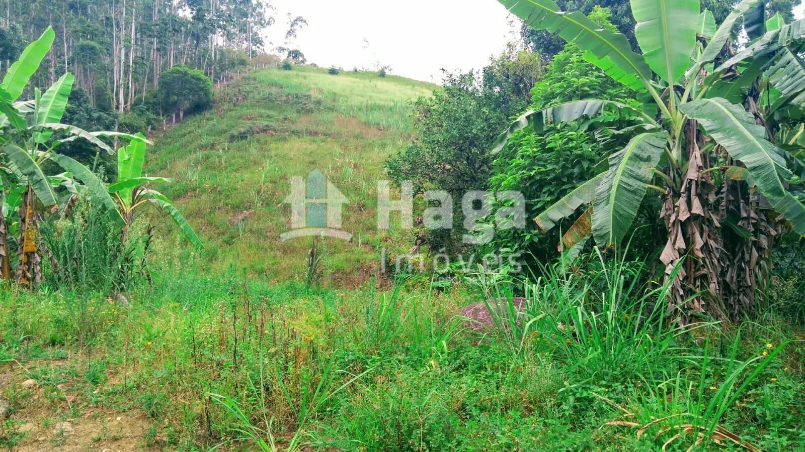 Terreno à venda de 2 ha em São João Batista, SC, Brasil