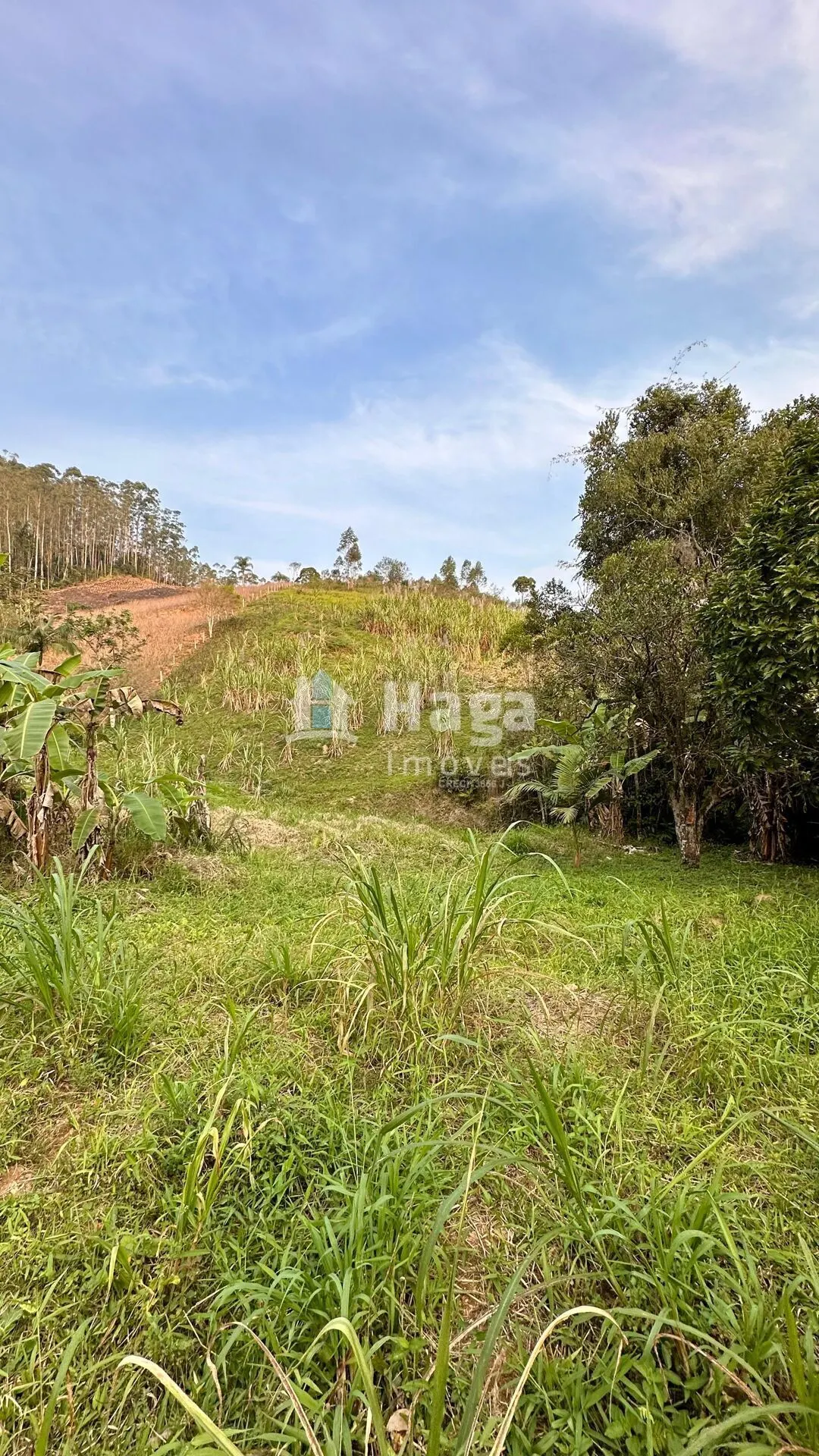 Terreno à venda de 2 ha em São João Batista, SC, Brasil