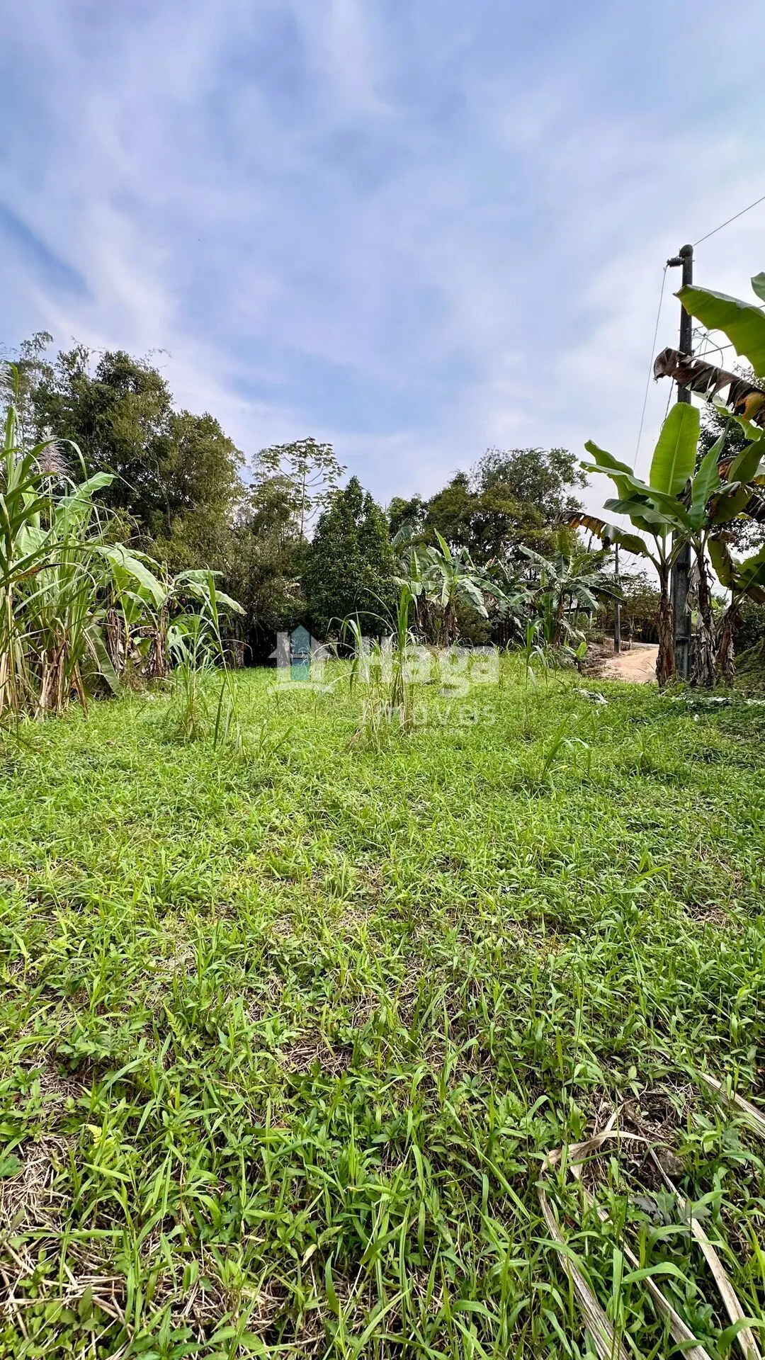 Terreno à venda de 2 ha em São João Batista, SC, Brasil