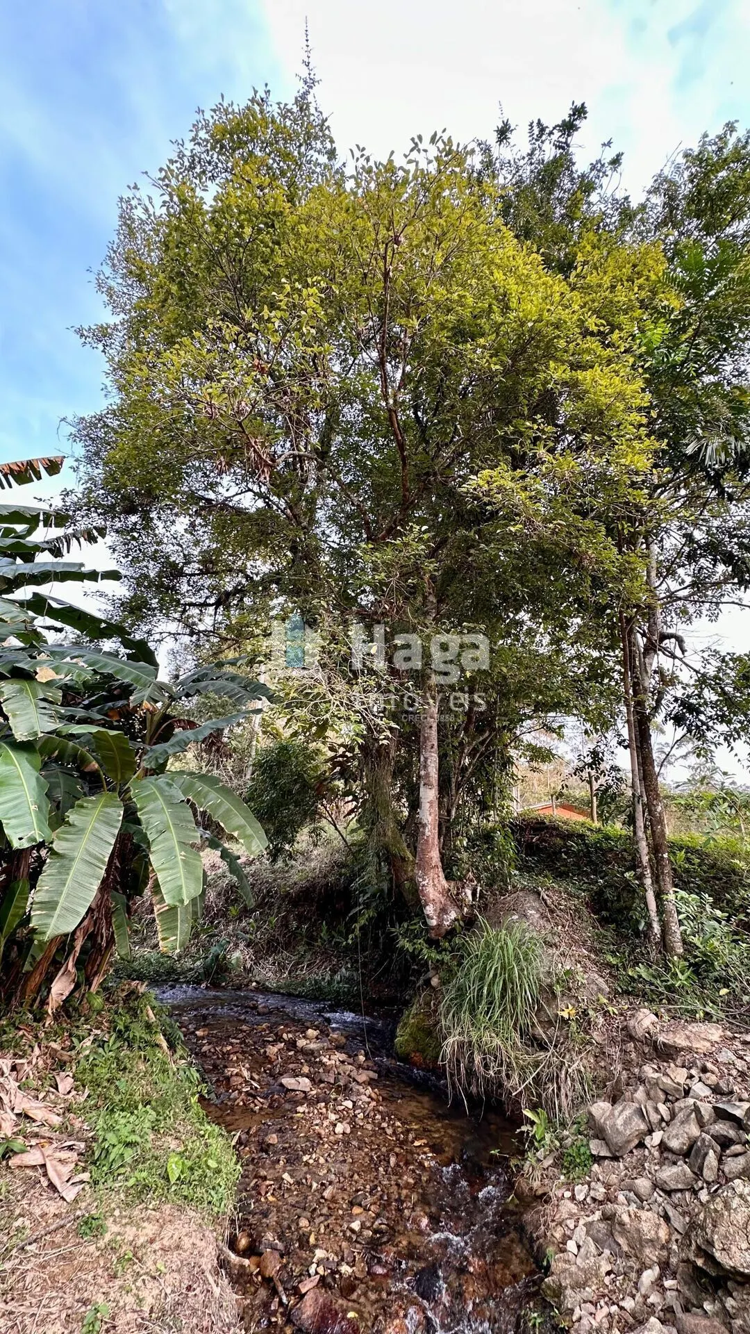 Terreno à venda de 2 ha em São João Batista, SC, Brasil