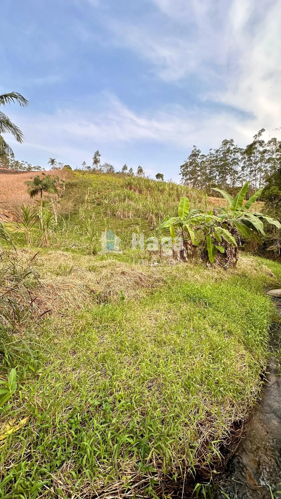 Terreno à venda de 2 ha em São João Batista, SC, Brasil