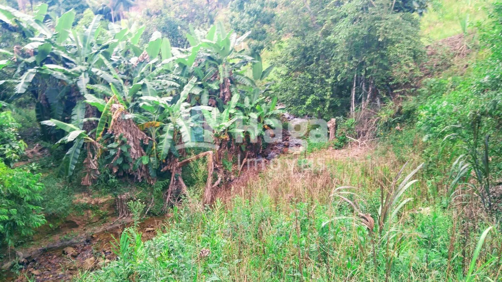 Terreno à venda de 2 ha em São João Batista, SC, Brasil