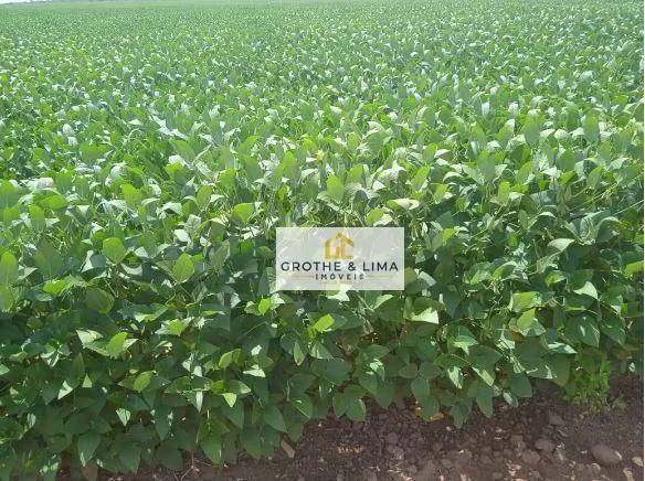 Farm for sale of 14,332 acres in Balsas, MA, Brazil