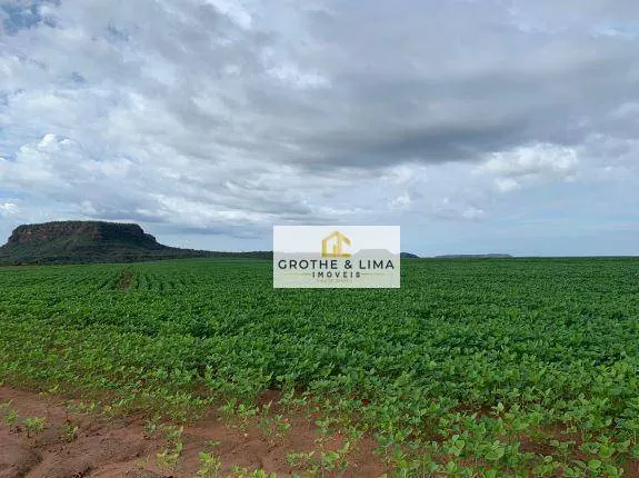 Farm for sale of 14,332 acres in Balsas, MA, Brazil