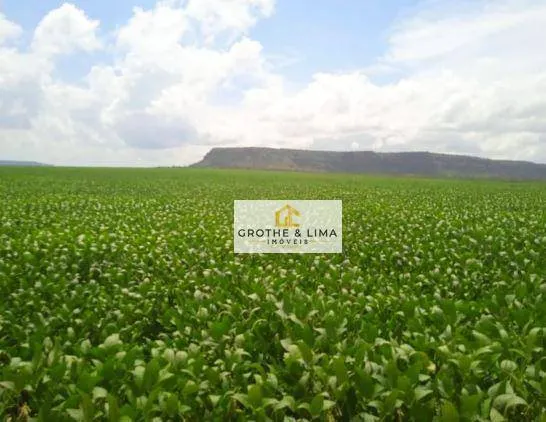 Farm for sale of 14,332 acres in Balsas, MA, Brazil