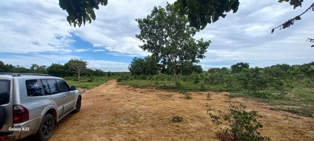 Fazenda à venda de 2.360 ha em Poconé, MT, Brasil