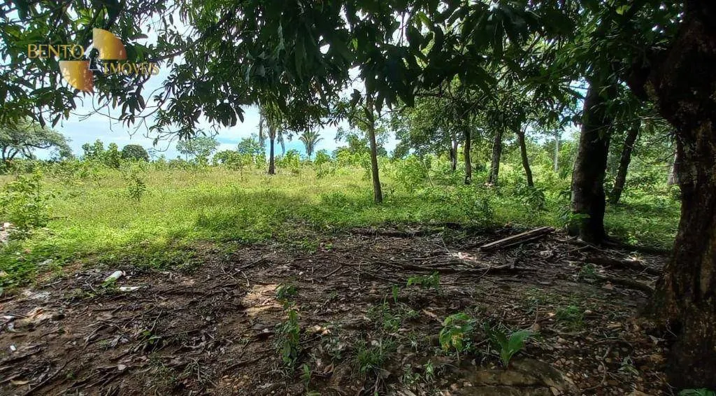 Fazenda à venda de 2.360 ha em Poconé, MT, Brasil