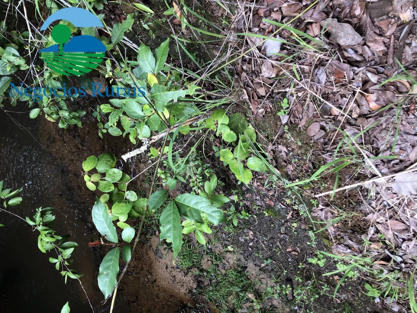 Sítio à venda de 30 ha em Uruaçu, GO, Brasil