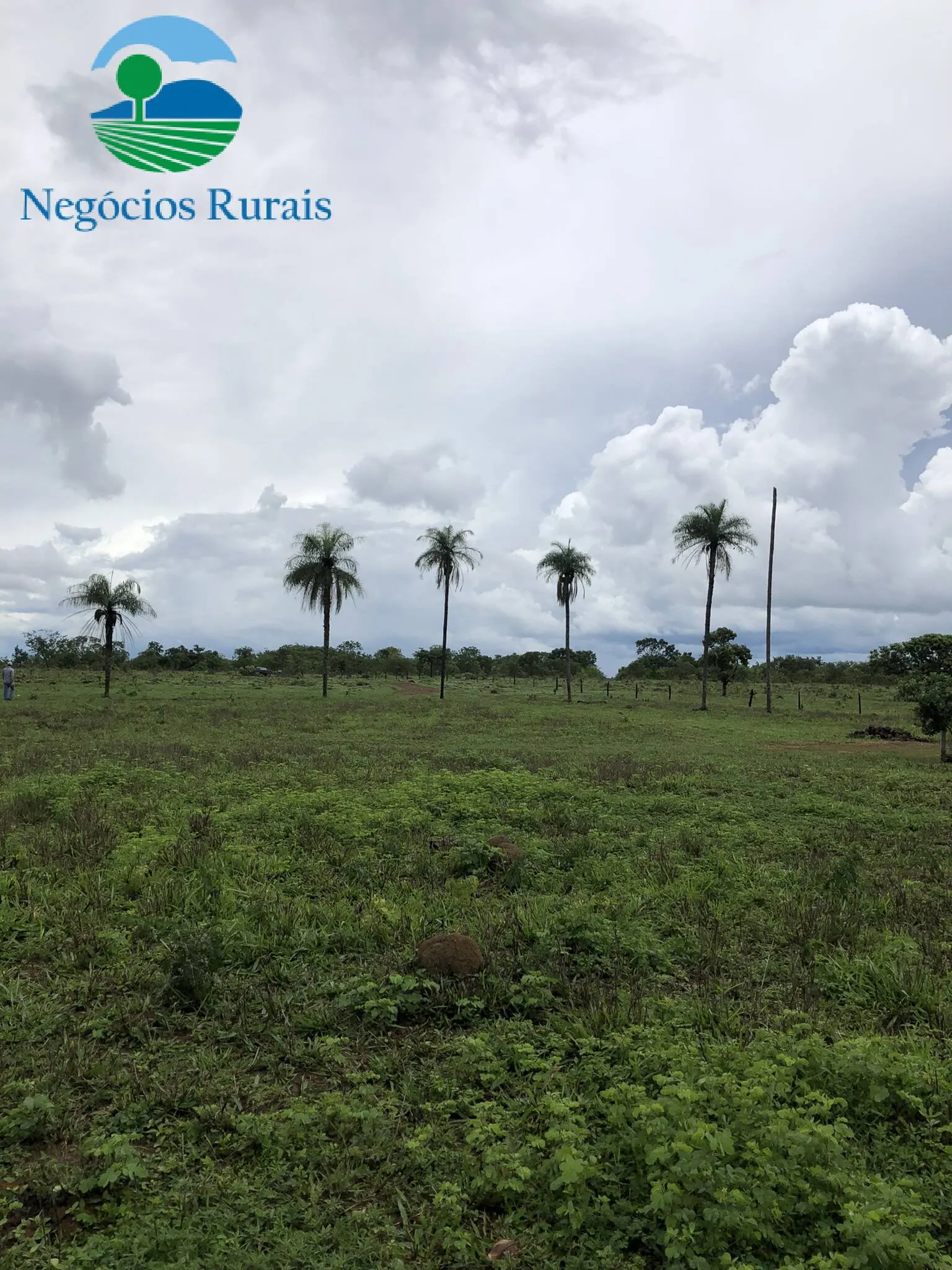 Sítio à venda de 30 ha em Uruaçu, GO, Brasil