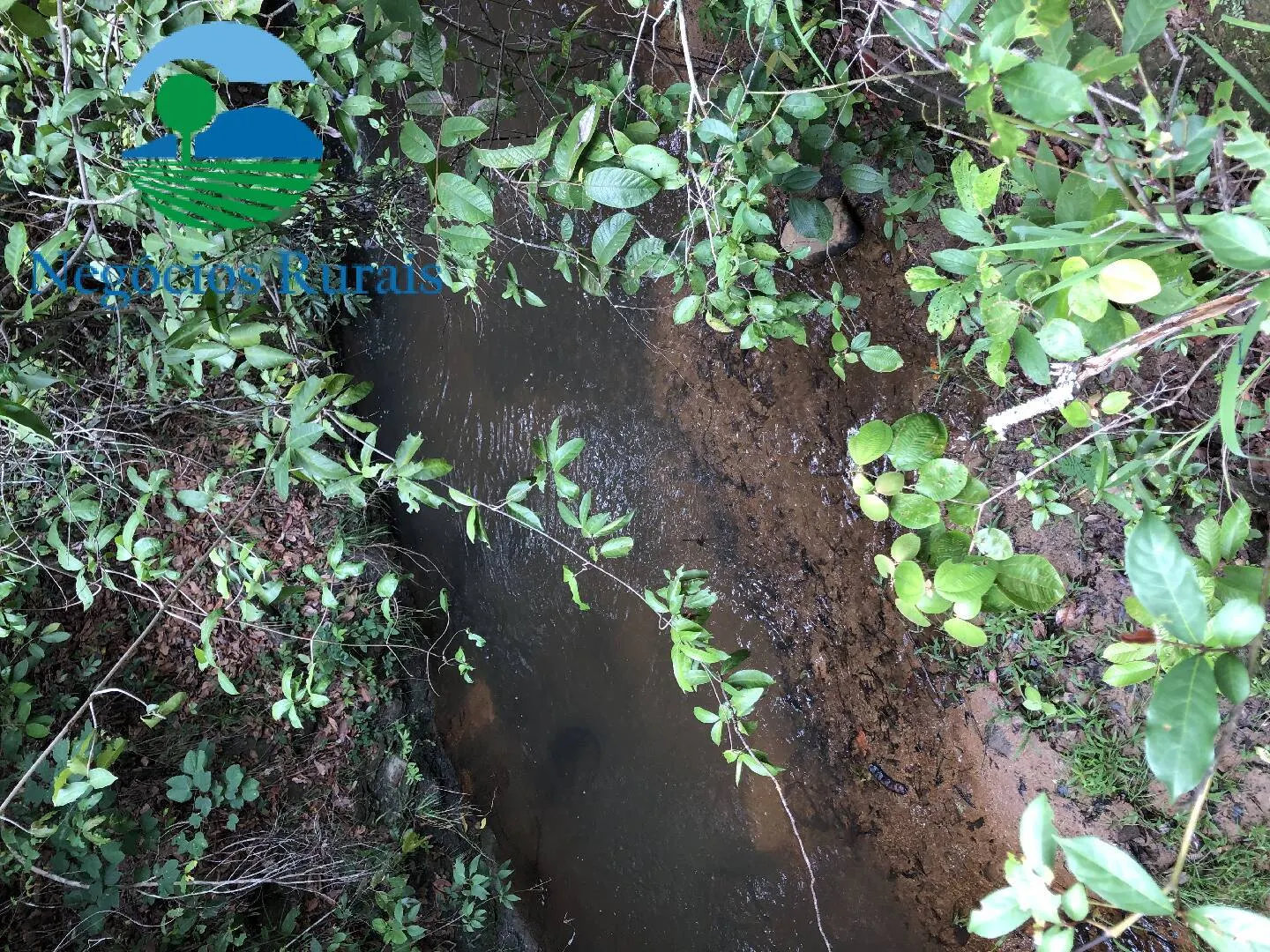 Sítio à venda de 30 ha em Uruaçu, GO, Brasil