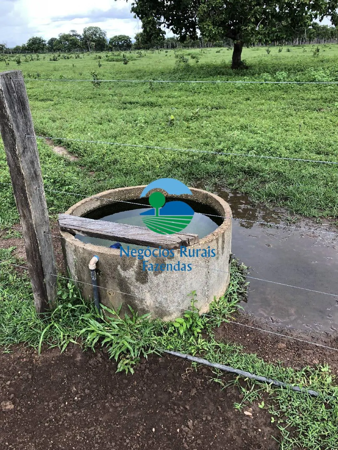 Sítio à venda de 30 ha em Uruaçu, GO, Brasil