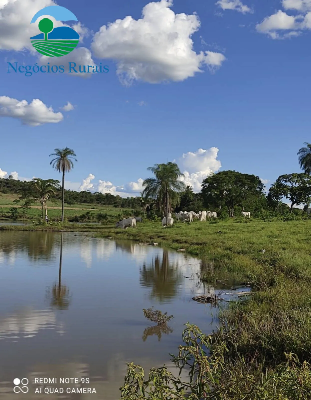 Sítio à venda de 30 ha em Uruaçu, GO, Brasil