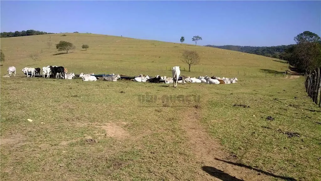 Fazenda à venda de 668 ha em Cabreúva, SP, Brasil