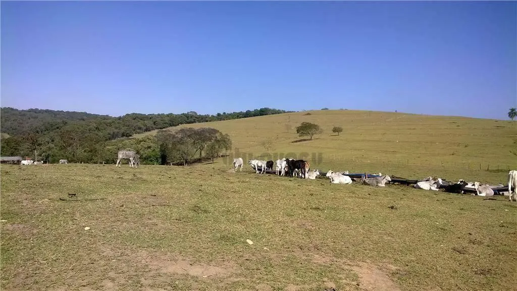 Fazenda à venda de 668 ha em Cabreúva, SP, Brasil