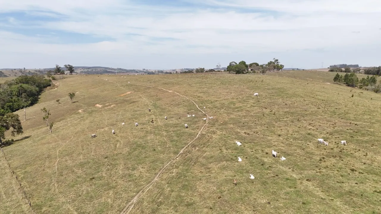 Fazenda à venda de 25 ha em São Miguel Arcanjo, SP, Brasil