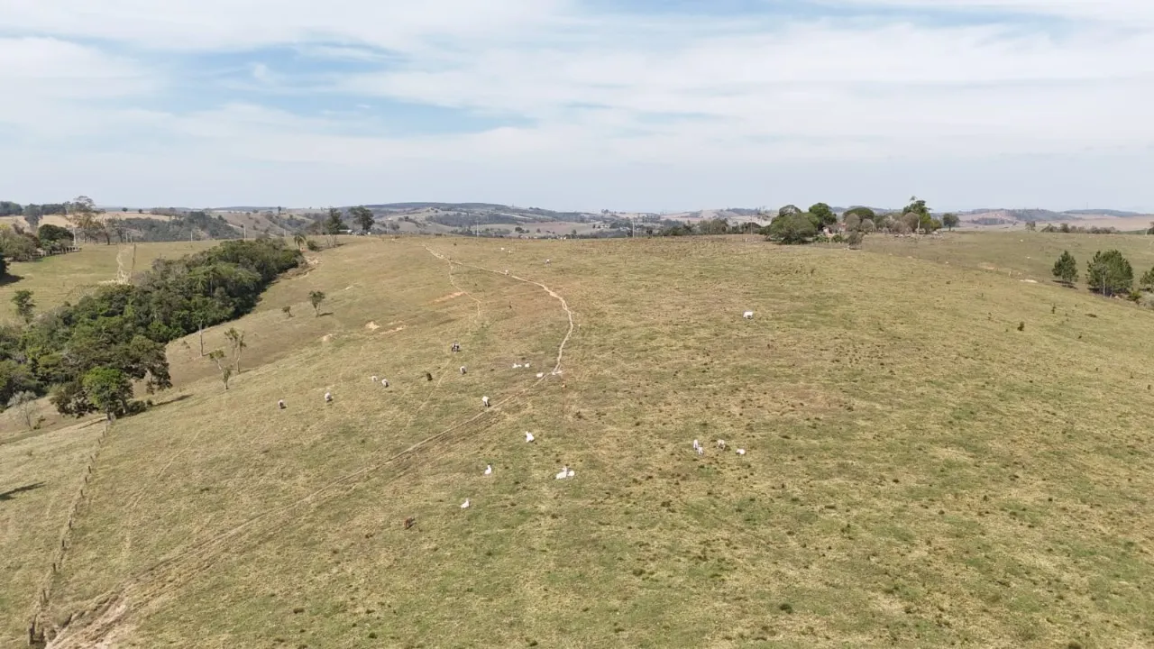 Fazenda à venda de 25 ha em São Miguel Arcanjo, SP, Brasil