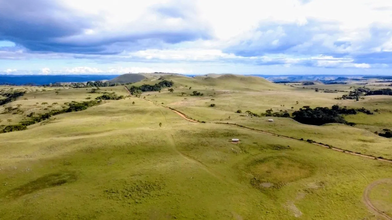 Fazenda à venda de 451 ha em Lages, SC, Brasil