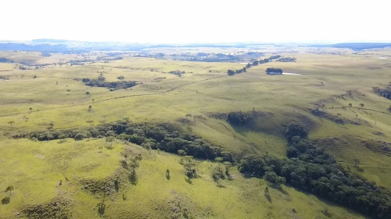 Fazenda à venda de 451 ha em Lages, SC, Brasil