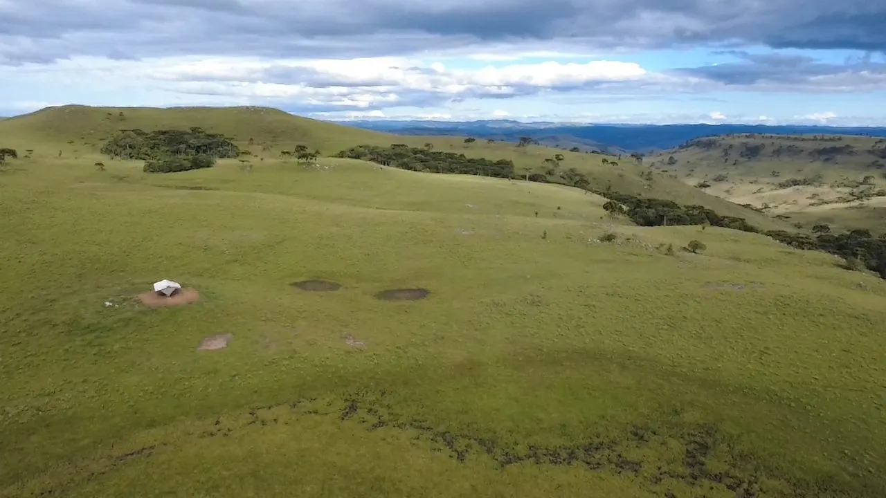 Fazenda à venda de 451 ha em Lages, SC, Brasil