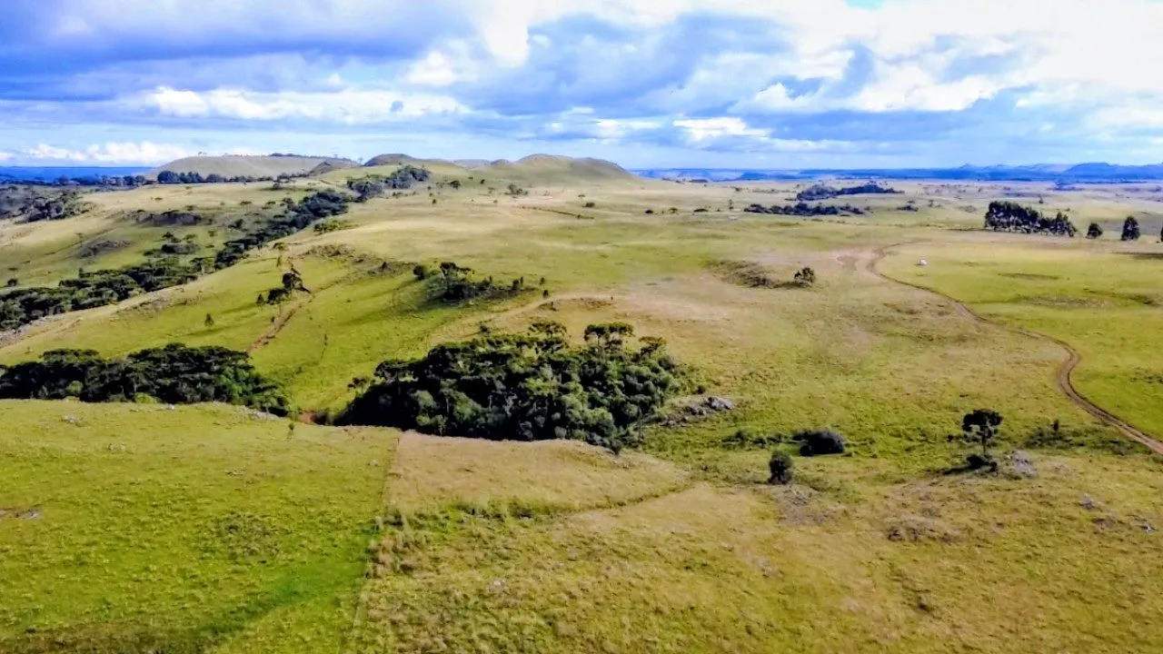 Fazenda à venda de 451 ha em Lages, SC, Brasil