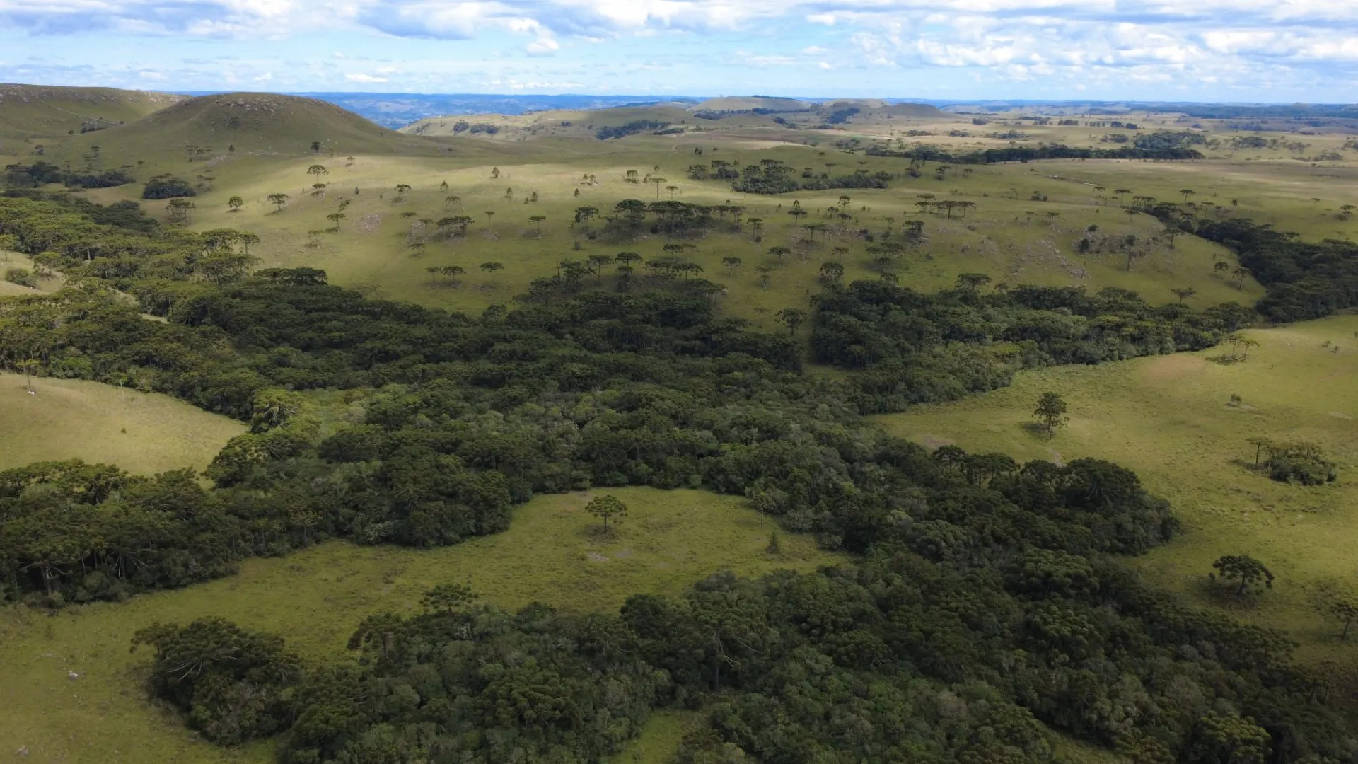 Fazenda à venda de 451 ha em Lages, SC, Brasil