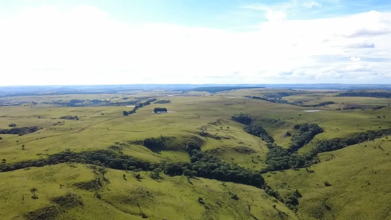 Fazenda à venda de 451 ha em Lages, SC, Brasil