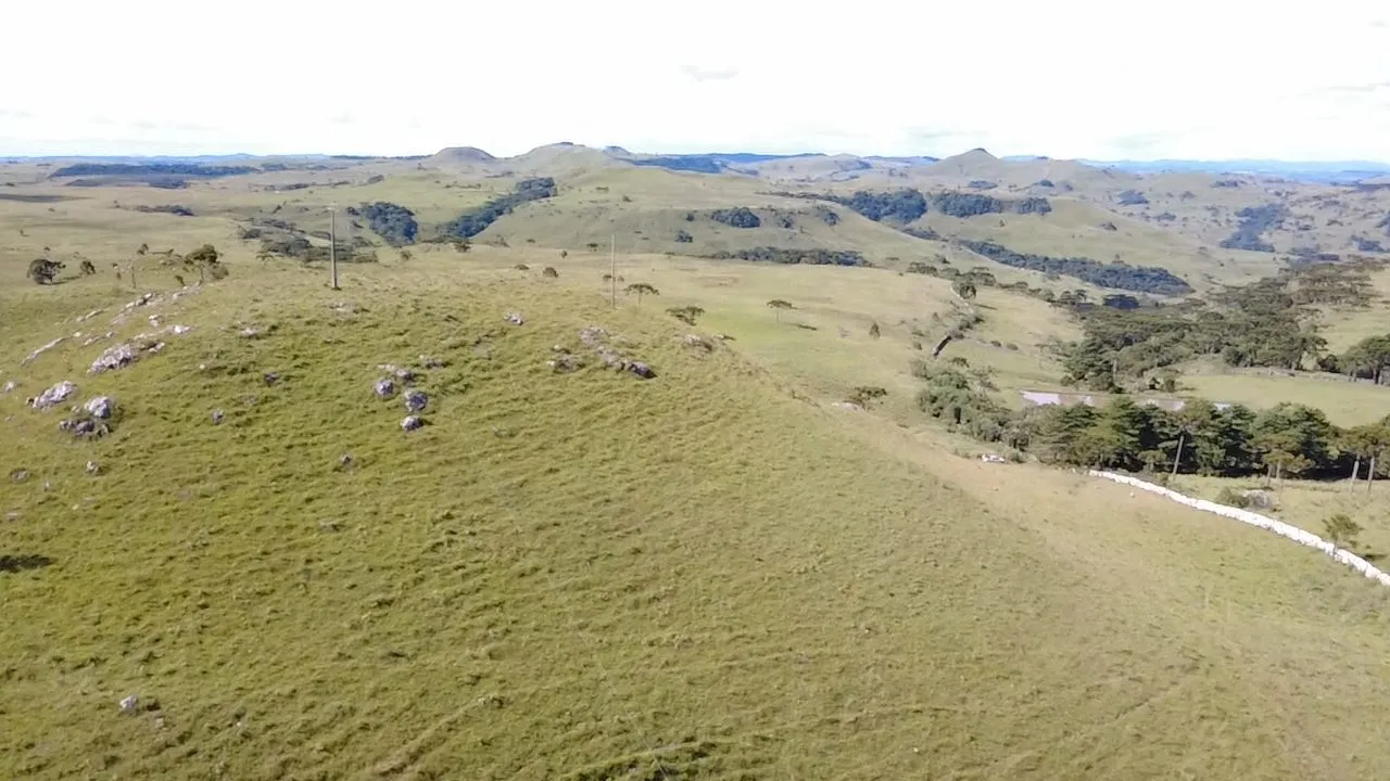Fazenda à venda de 451 ha em Lages, SC, Brasil