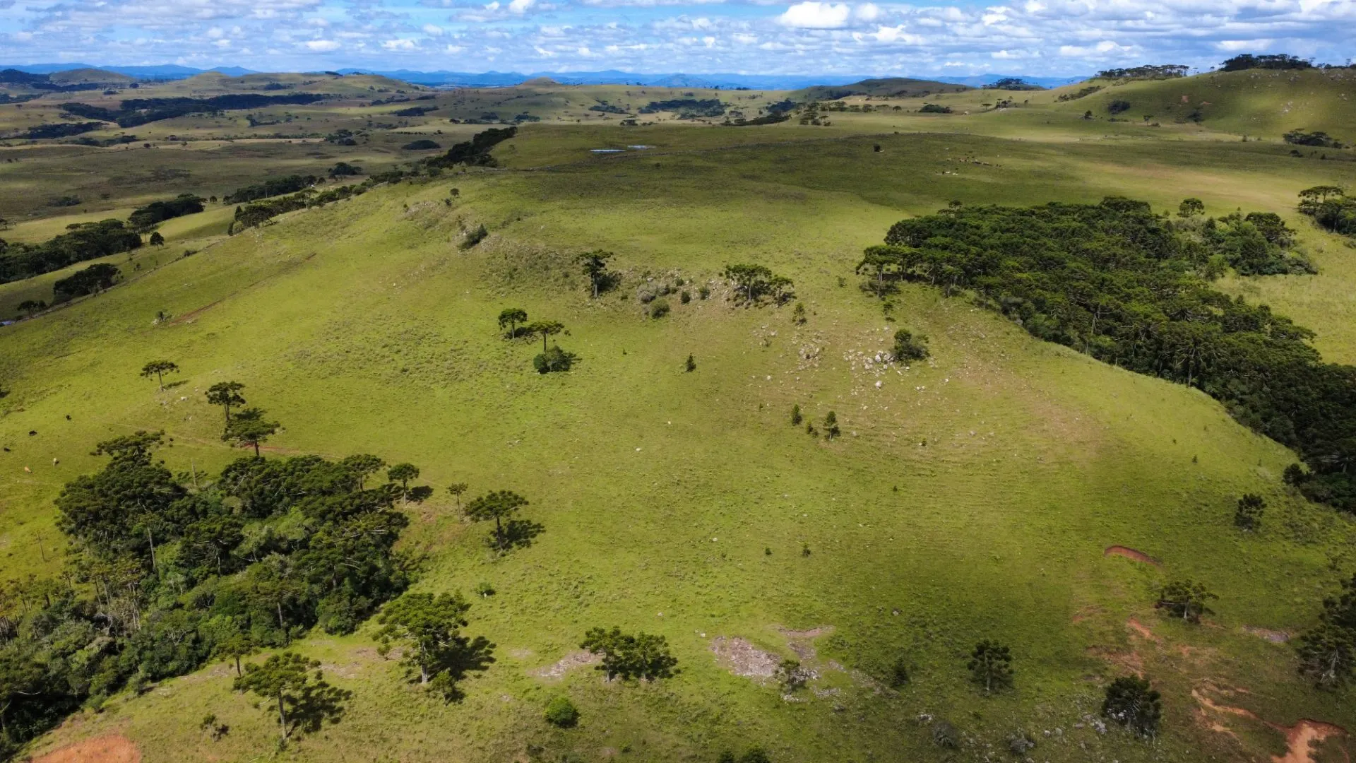 Fazenda à venda de 451 ha em Lages, SC, Brasil