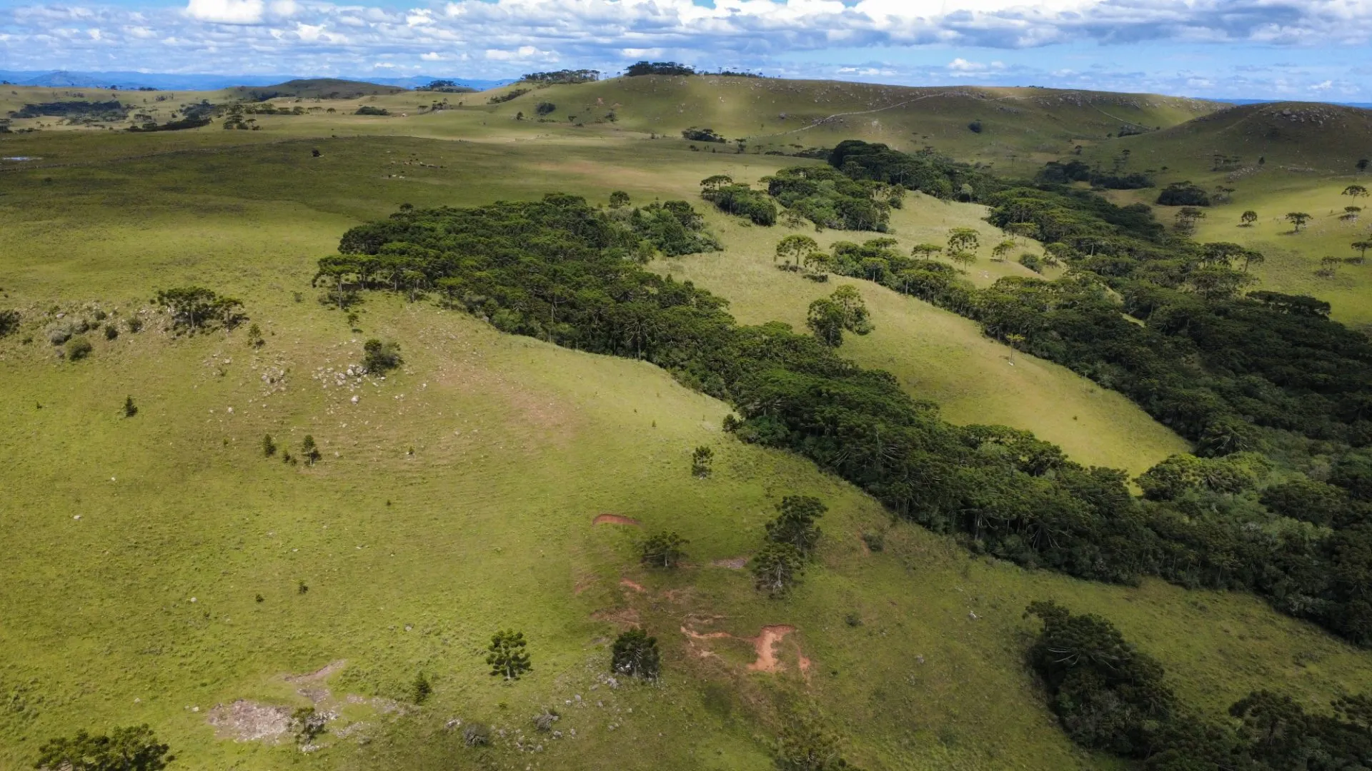 Fazenda à venda de 451 ha em Lages, SC, Brasil