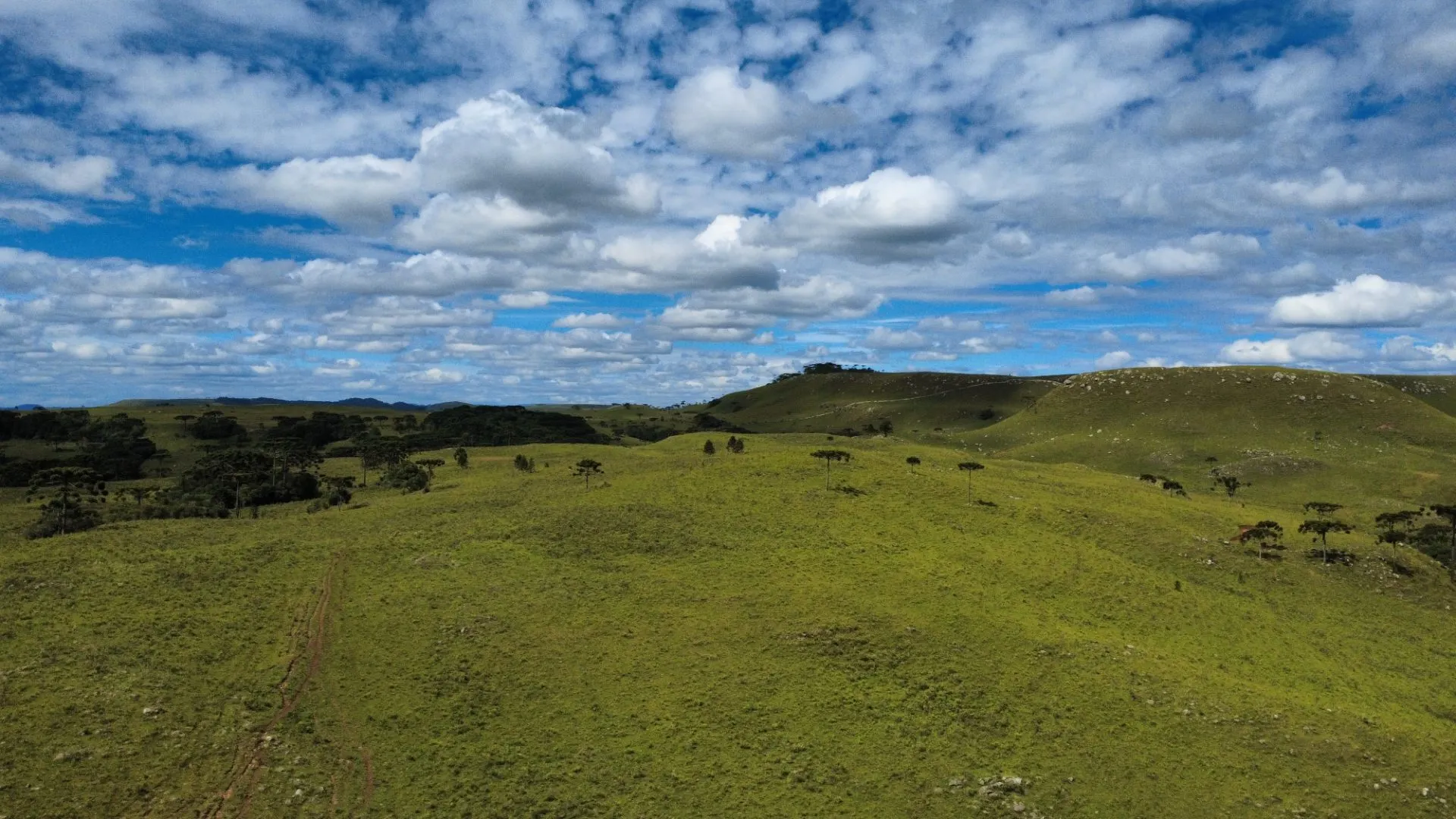 Fazenda à venda de 451 ha em Lages, SC, Brasil