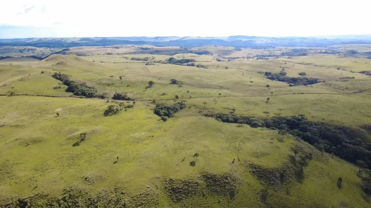 Fazenda à venda de 451 ha em Lages, SC, Brasil
