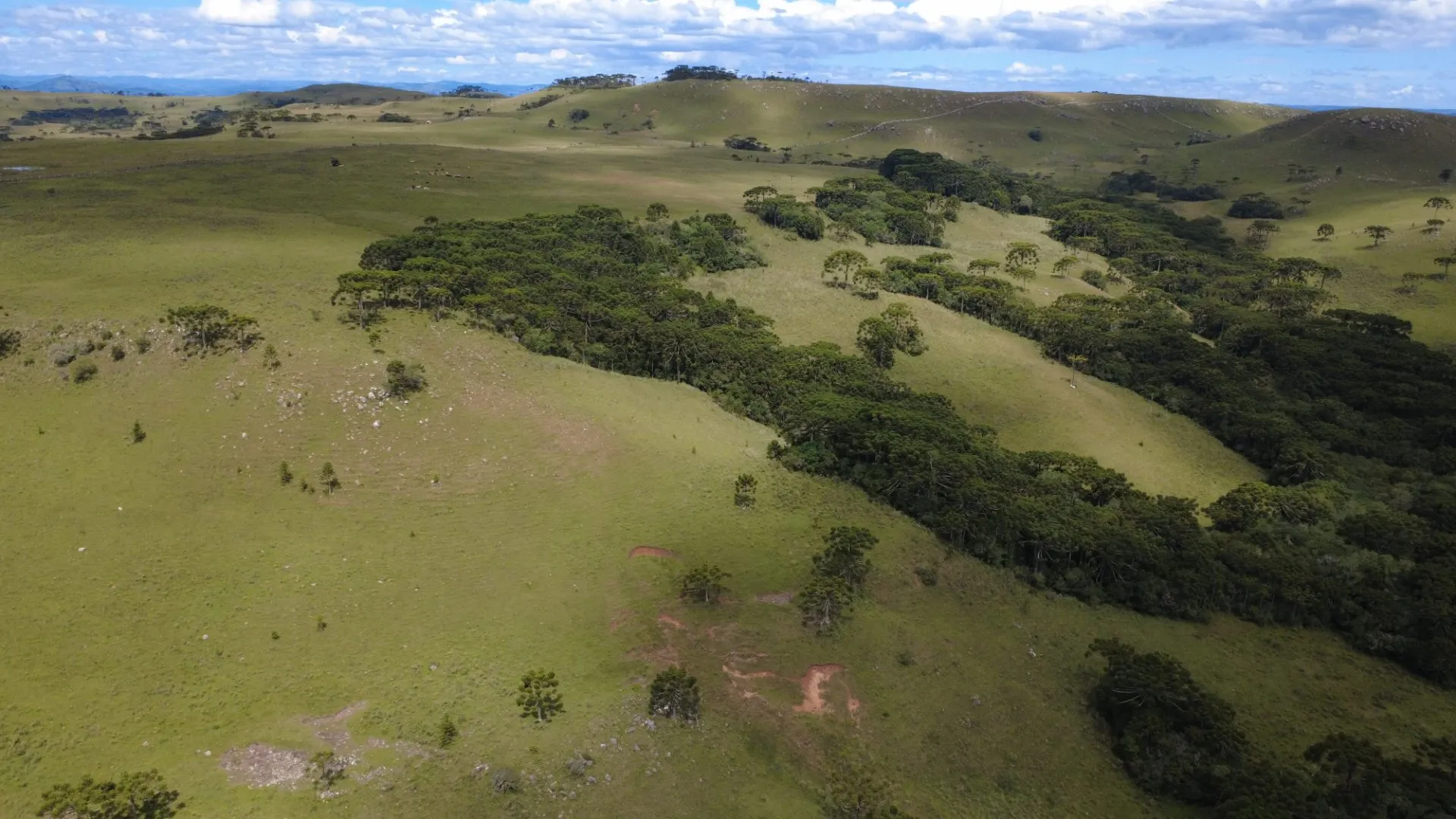 Fazenda à venda de 451 ha em Lages, SC, Brasil