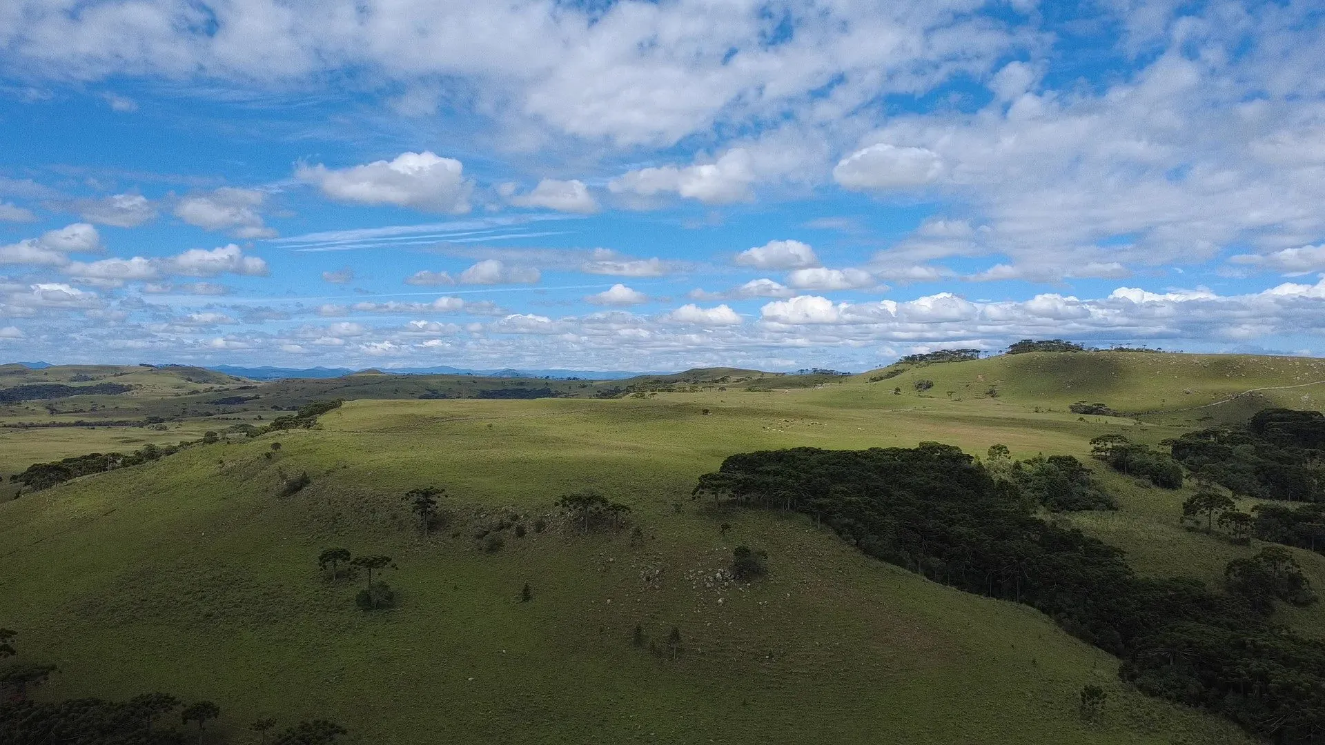 Fazenda à venda de 451 ha em Lages, SC, Brasil