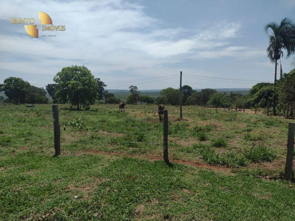 Fazenda à venda de 964 ha em Guiratinga, MT, Brasil
