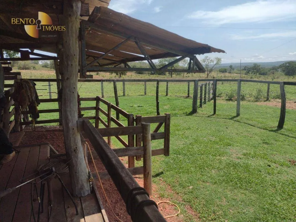 Fazenda à venda de 964 ha em Guiratinga, MT, Brasil