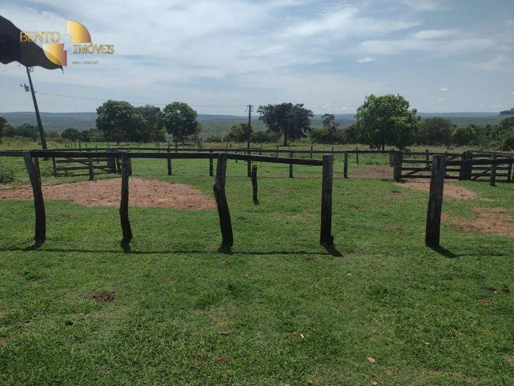 Fazenda à venda de 964 ha em Guiratinga, MT, Brasil
