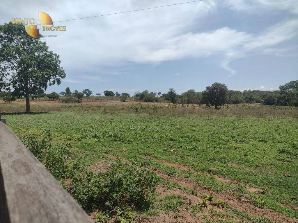 Fazenda à venda de 964 ha em Guiratinga, MT, Brasil