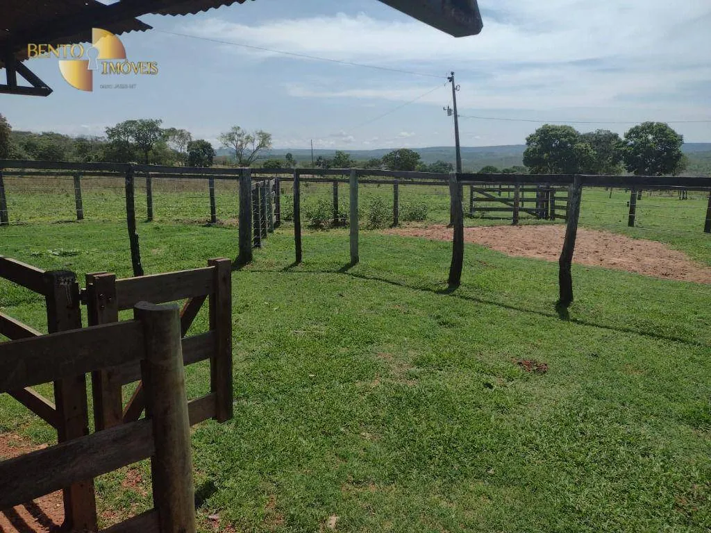 Fazenda à venda de 964 ha em Guiratinga, MT, Brasil
