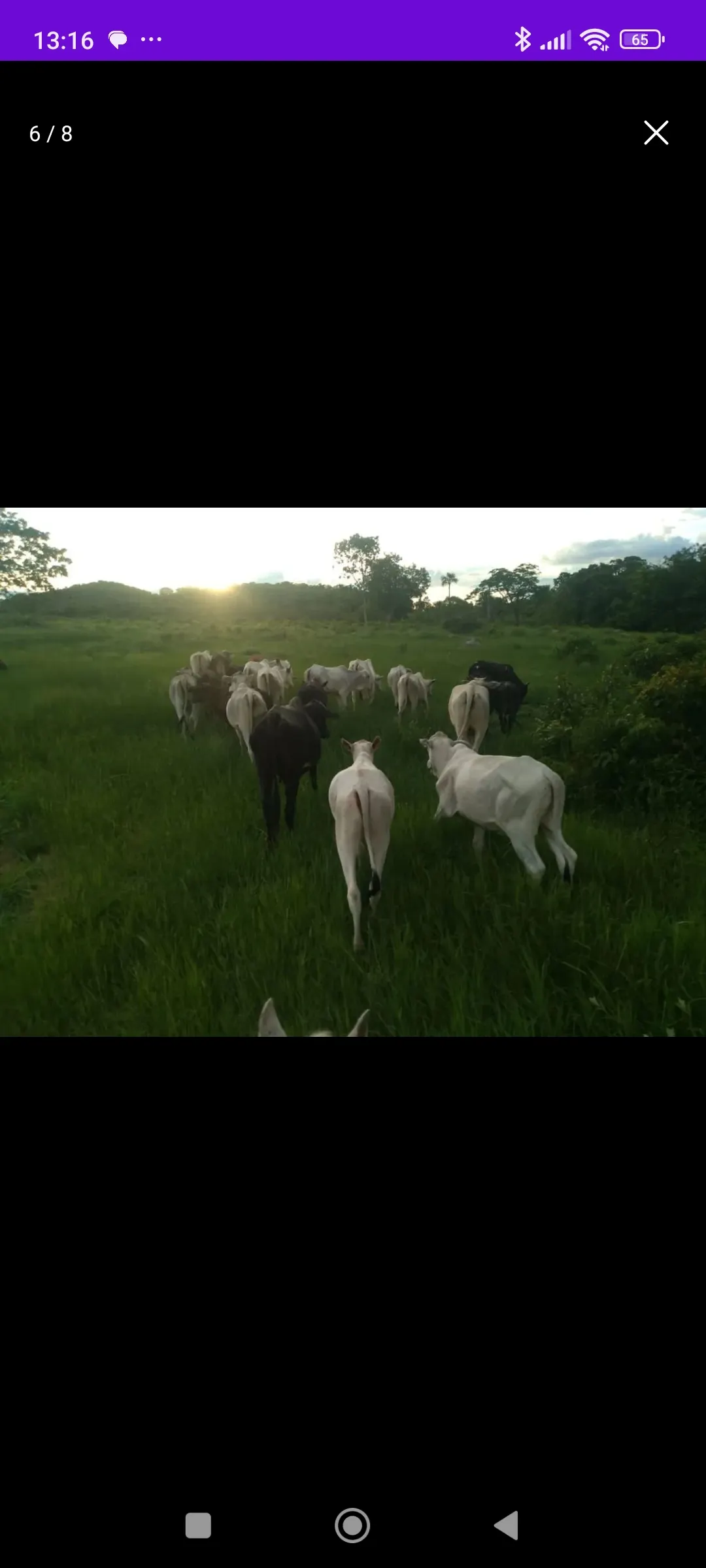 Sítio à venda de 22 ha em Colinas do Sul, GO, Brasil
