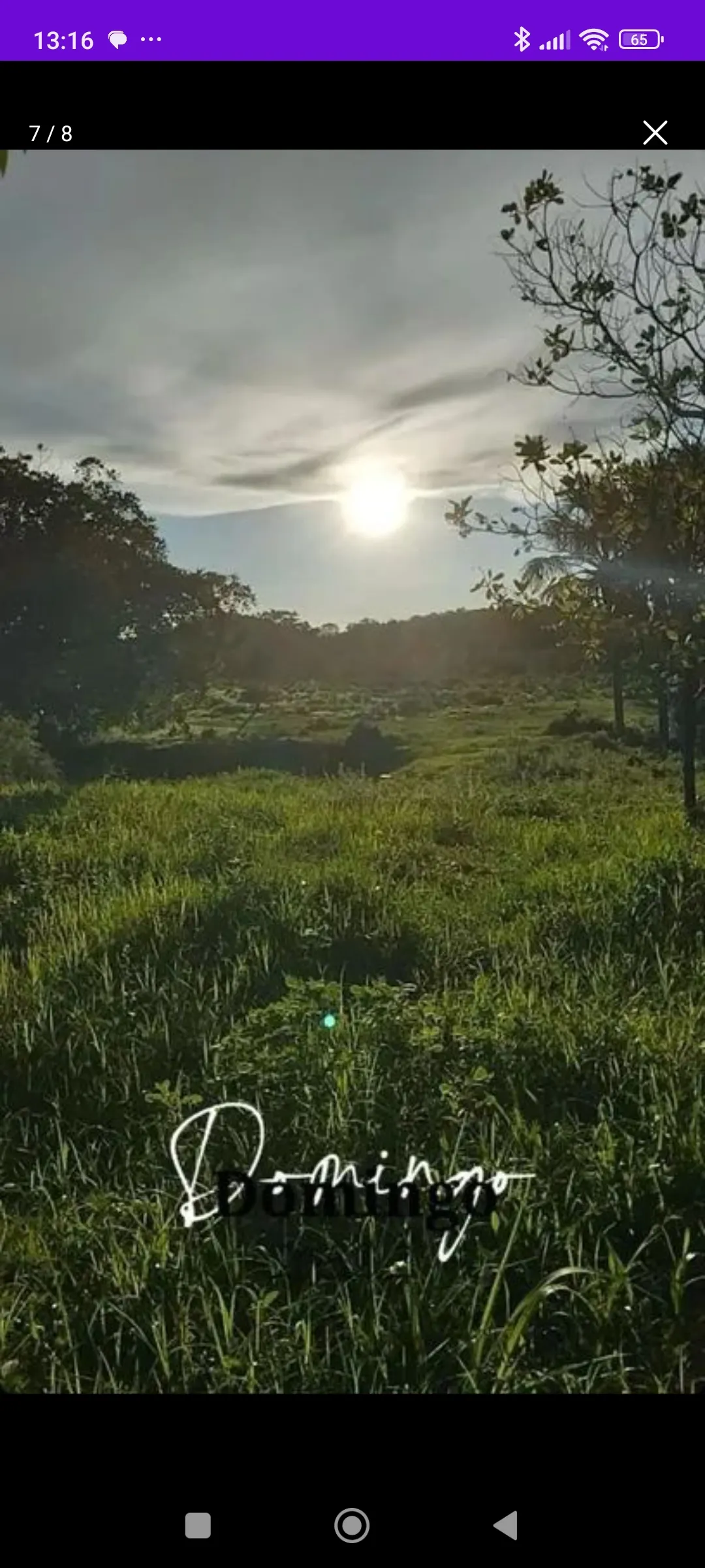Sítio à venda de 22 ha em Colinas do Sul, GO, Brasil