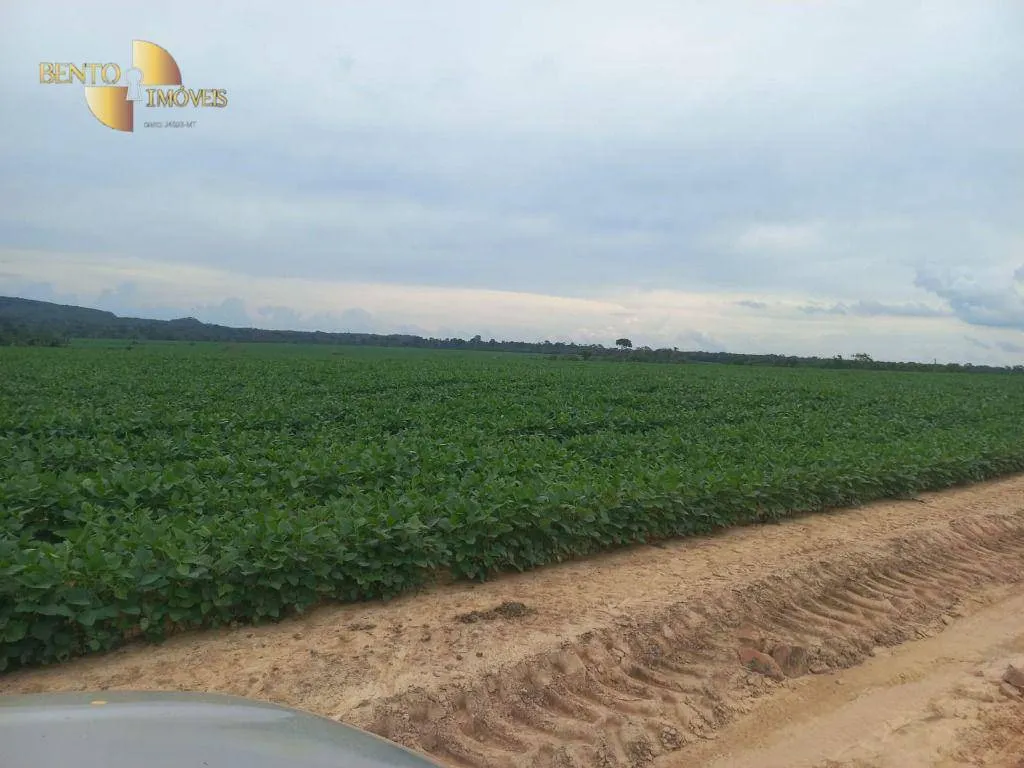 Fazenda à venda e para Arrendar de 3.025 ha em Juara, MT, Brasil
