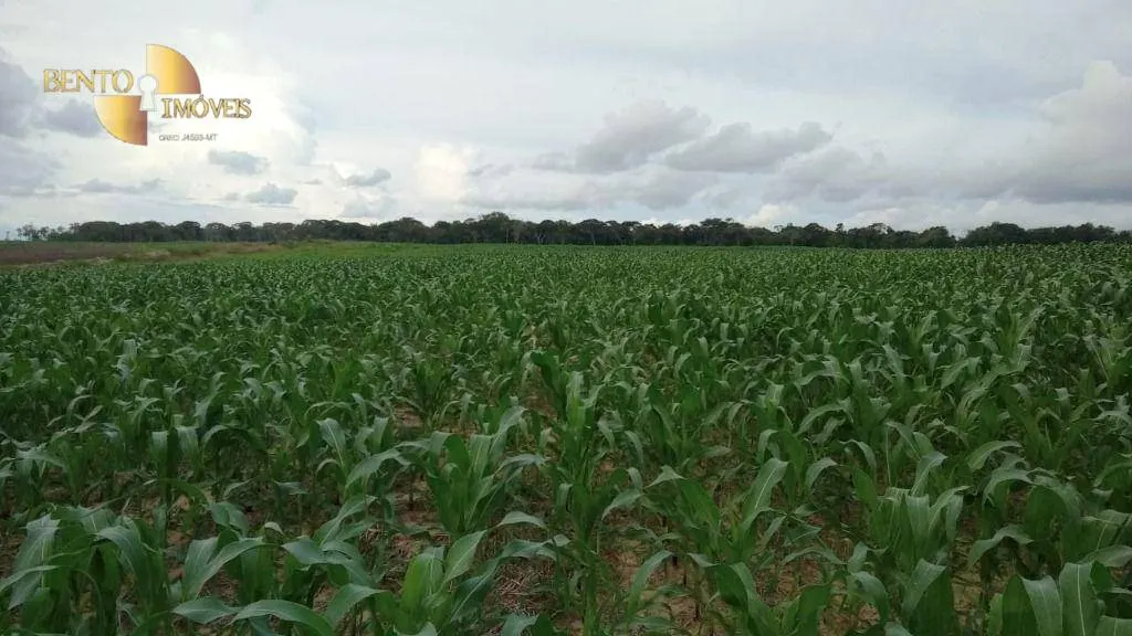 Fazenda à venda e para Arrendar de 3.025 ha em Juara, MT, Brasil